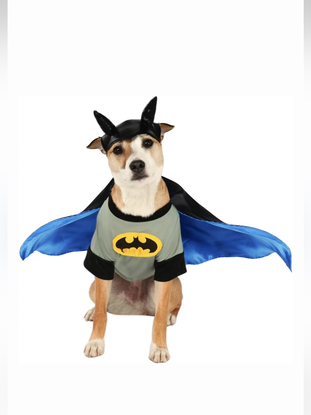 Dog Cat Costume